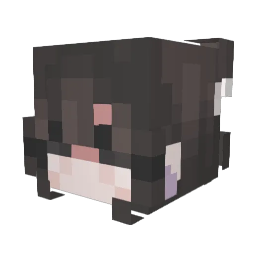 lamecloud Minecraft avatar head, 3D render