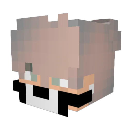 lamentedwolf212 Minecraft avatar head, 3D render