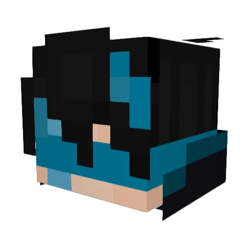 lamers Minecraft avatar head, 3D render