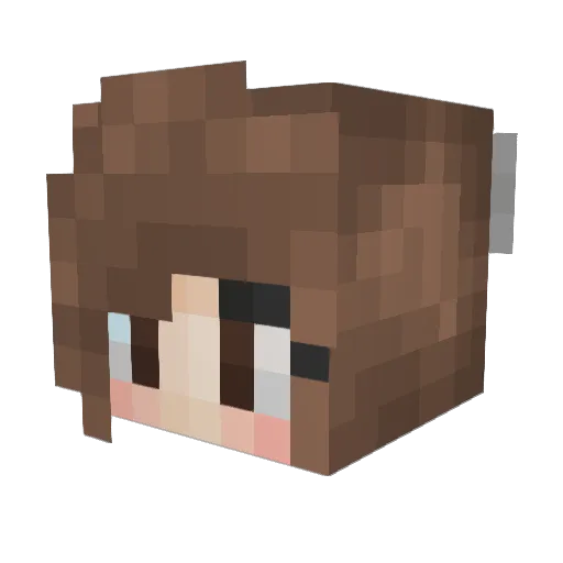 lames2013 Minecraft avatar head, 3D render