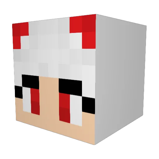 lammeo123 Minecraft avatar head, 3D render