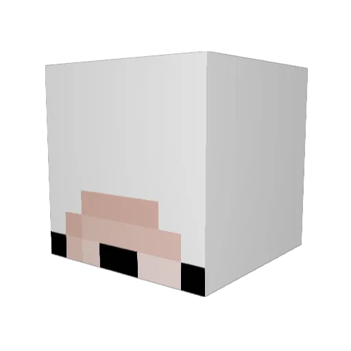 lamp921 Minecraft avatar head, 3D render