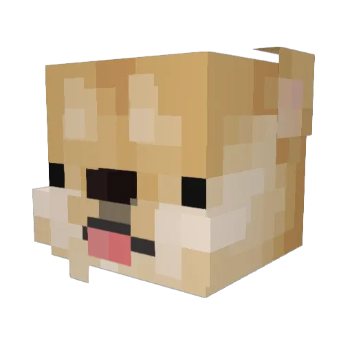 lampppu Minecraft avatar head, 3D render
