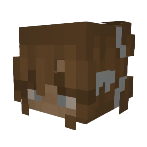 lampshadehero Minecraft avatar head, 3D render