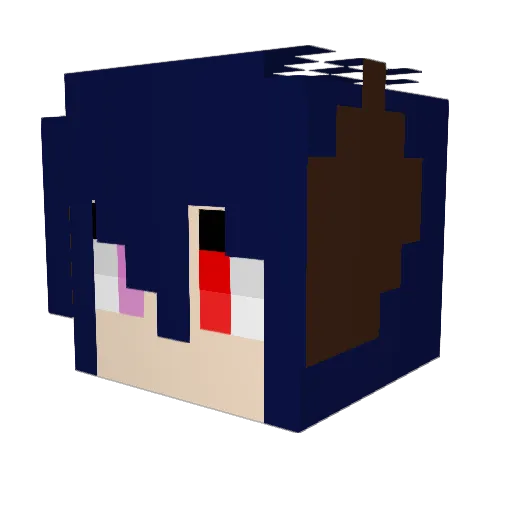 lan10 Minecraft avatar head, 3D render