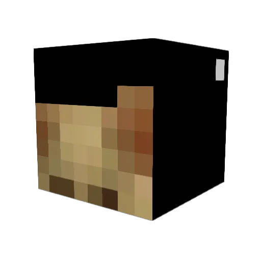 lan_0405 Minecraft avatar head, 3D render