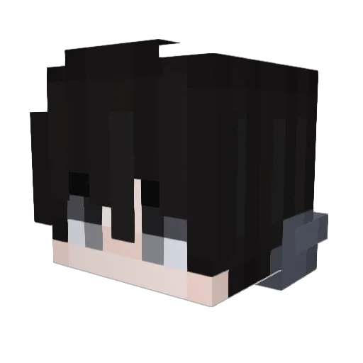 lan_yangy Minecraft avatar head, 3D render