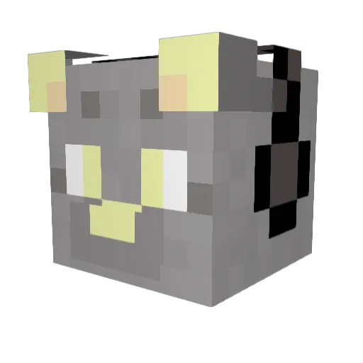 lanax09 Minecraft avatar head, 3D render