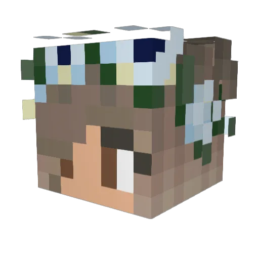 landgurke09 Minecraft avatar head, 3D render