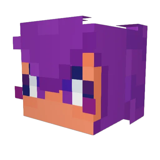landofthedogs Minecraft avatar head, 3D render