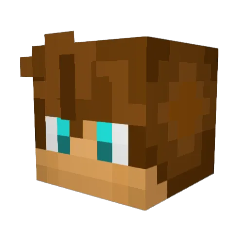 landonSTORM2 Minecraft avatar head, 3D render