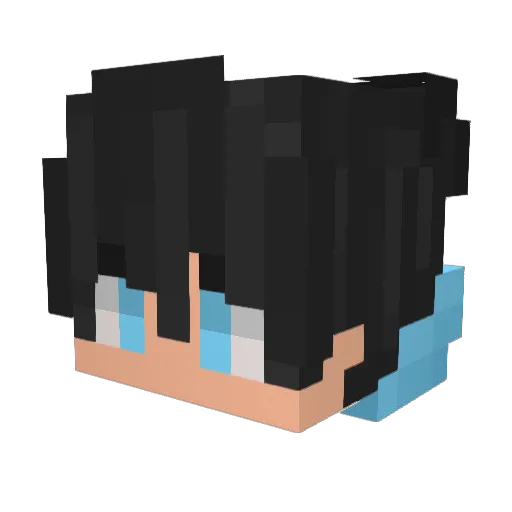 lands258 Minecraft avatar head, 3D render