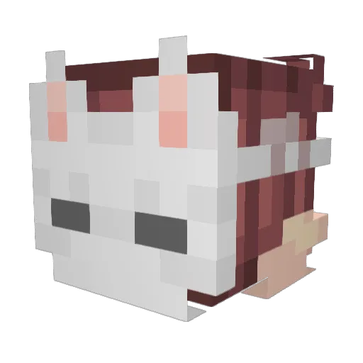 lanebie Minecraft avatar head, 3D render