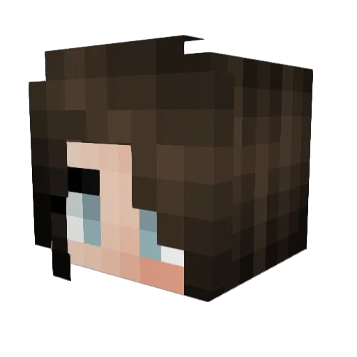 langetijmen Minecraft avatar head, 3D render