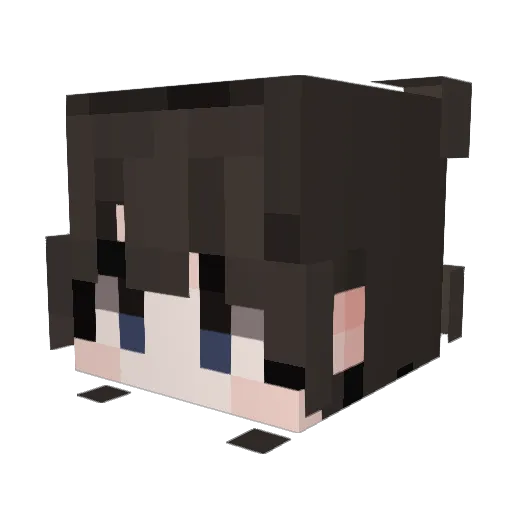 langte Minecraft avatar head, 3D render