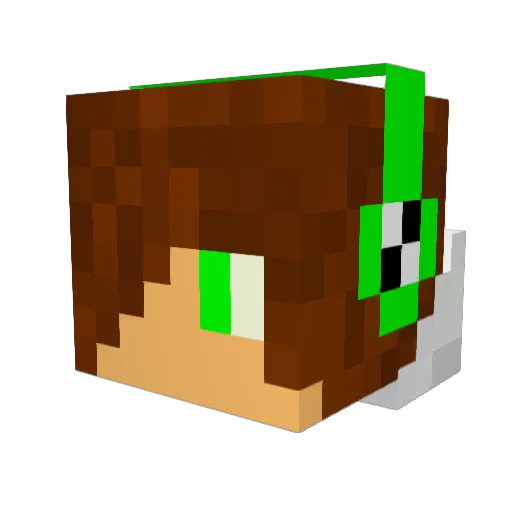 langw Minecraft avatar head, 3D render