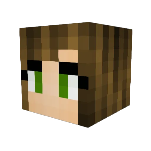 laniemarie Minecraft avatar head, 3D render