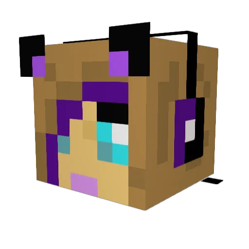 lanierb03 Minecraft avatar head, 3D render