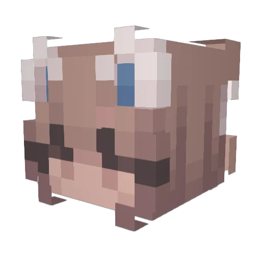 lanimaree37 Minecraft avatar head, 3D render
