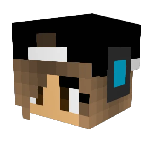 lanirocks216 Minecraft avatar head, 3D render