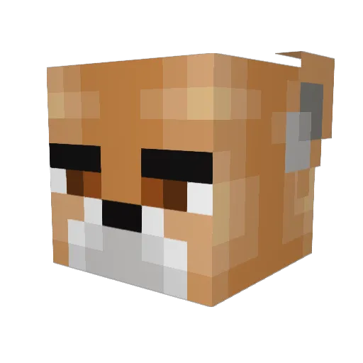 lank9000 Minecraft avatar head, 3D render