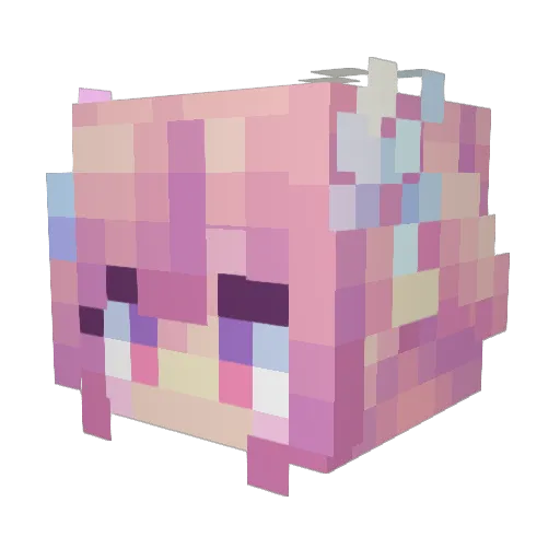 laobidengNB Minecraft avatar head, 3D render