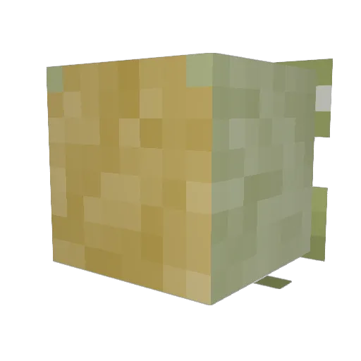 laoc1 Minecraft avatar head, 3D render