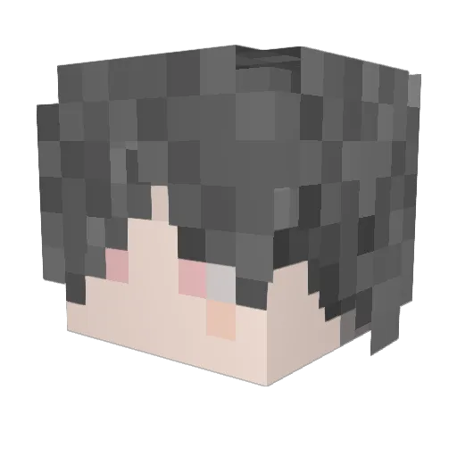 laonan2333 Minecraft avatar head, 3D render