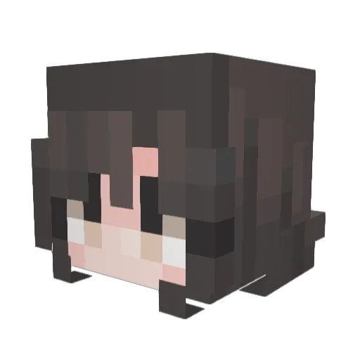 laorita Minecraft avatar head, 3D render