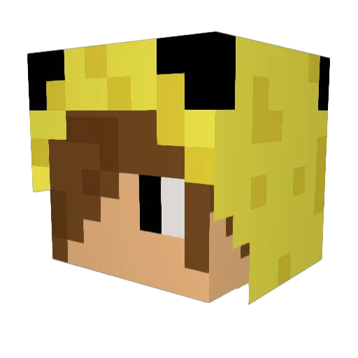 laozhang0407 Minecraft avatar head, 3D render