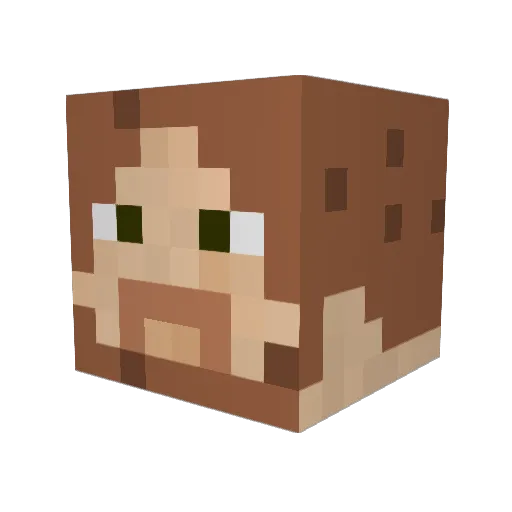 lapat Minecraft avatar head, 3D render