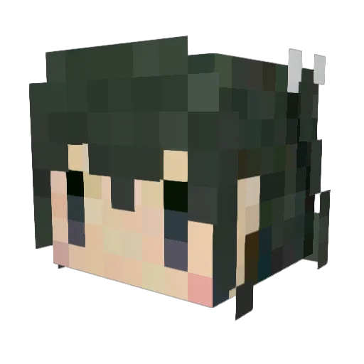 lapis5303 Minecraft avatar head, 3D render