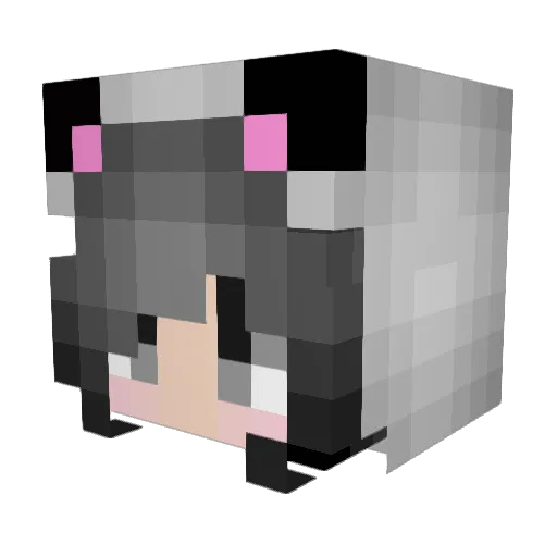 lapsize Minecraft avatar head, 3D render