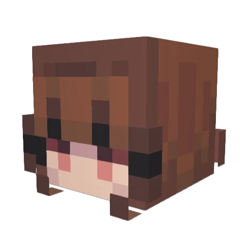 laralucia7 Minecraft avatar head, 3D render