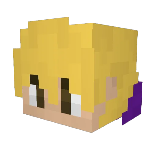 lari_fizz Minecraft avatar head, 3D render