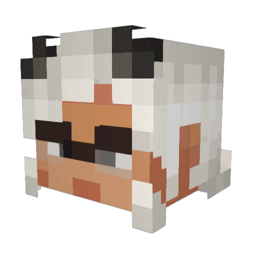 larkhund Minecraft avatar head, 3D render