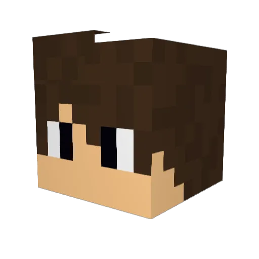 larode3434 Minecraft avatar head, 3D render