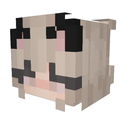 larpujemy Minecraft avatar head, 3D render