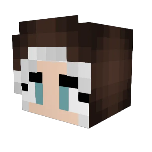 larrenisabelle Minecraft avatar head, 3D render