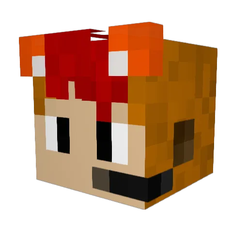 larry1104 Minecraft avatar head, 3D render