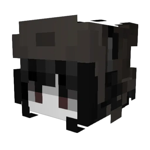 larrysolo1 Minecraft avatar head, 3D render