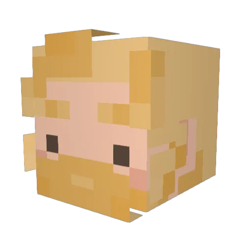 larsencld Minecraft avatar head, 3D render