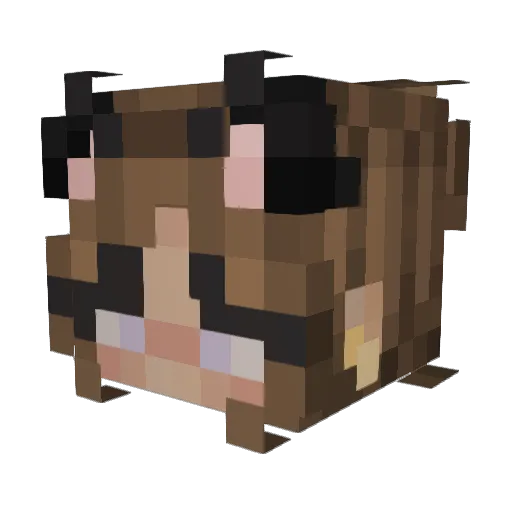 lasagnaboyy Minecraft avatar head, 3D render