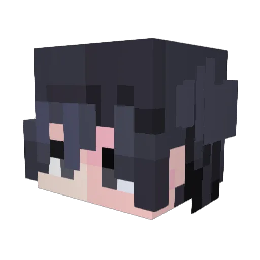 lasalledattente Minecraft avatar head, 3D render