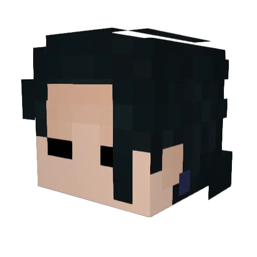 lasanga20111 Minecraft avatar head, 3D render