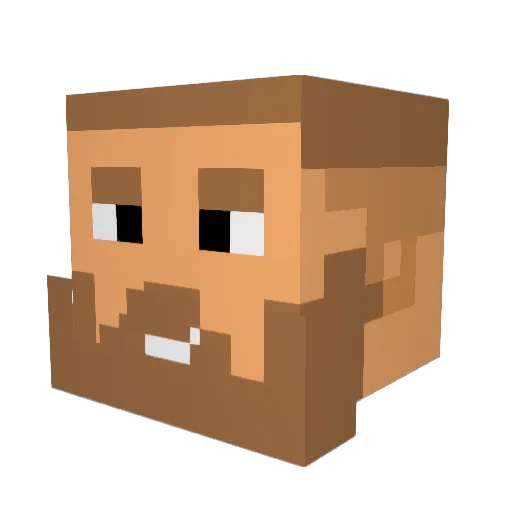 lasius31 Minecraft avatar head, 3D render