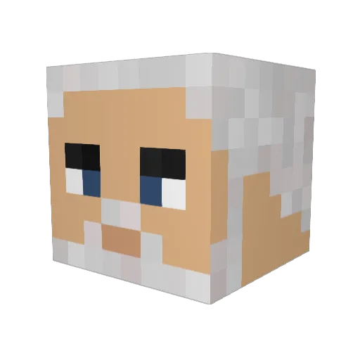 lasondo Minecraft avatar head, 3D render