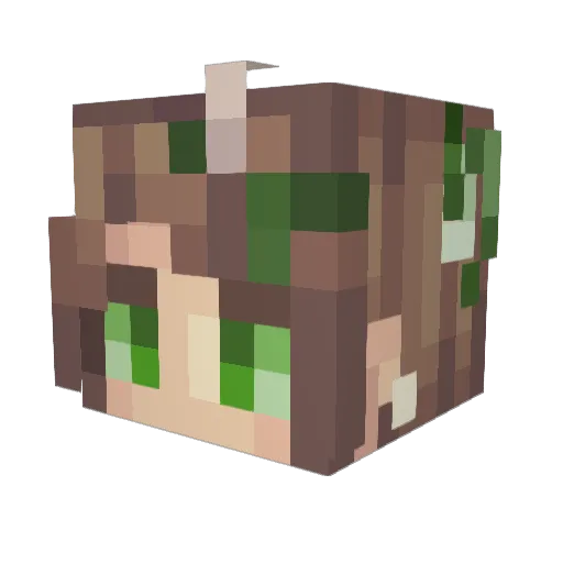 lasoni Minecraft avatar head, 3D render