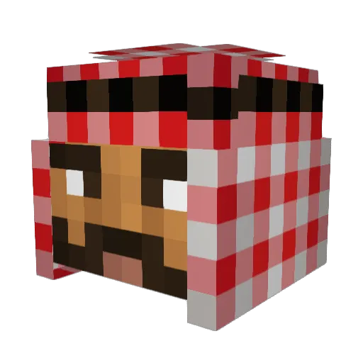 lassebudas Minecraft avatar head, 3D render