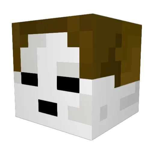 lastbonehican Minecraft avatar head, 3D render